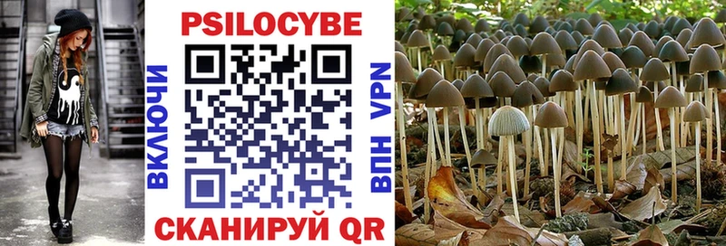 Галлюциногенные грибы GOLDEN TEACHER  Белокуриха 